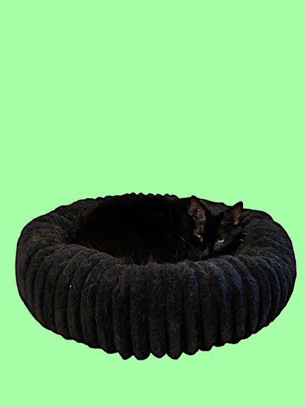 The Dark Donut