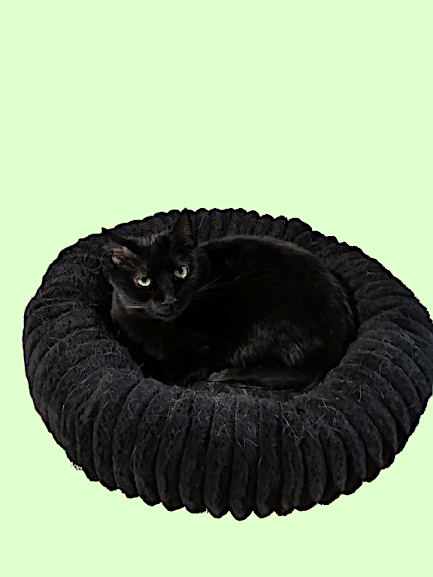 The Dark Donut