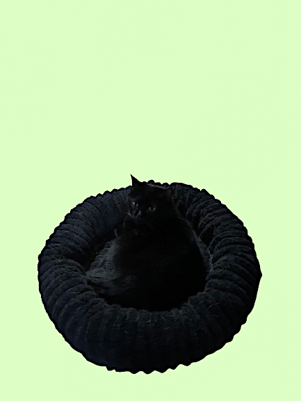 The Dark Donut